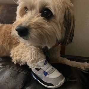 Air max Crib worn with some wear and tear DOG NOT FOR SALE 🤣 size 2c Nike